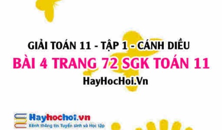 Giải bài 4 trang 72 Toán 11 tập 1 SGK Cánh Diều